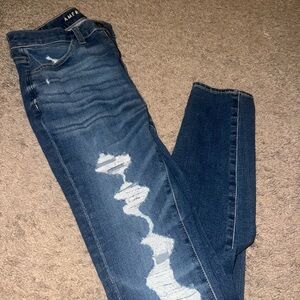American Eagle Outfitters Blue Skinny Jeans with Distressed Detail
